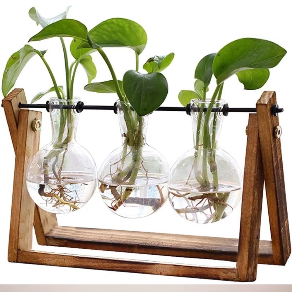 Hydroponic Planters on Wooden Stand